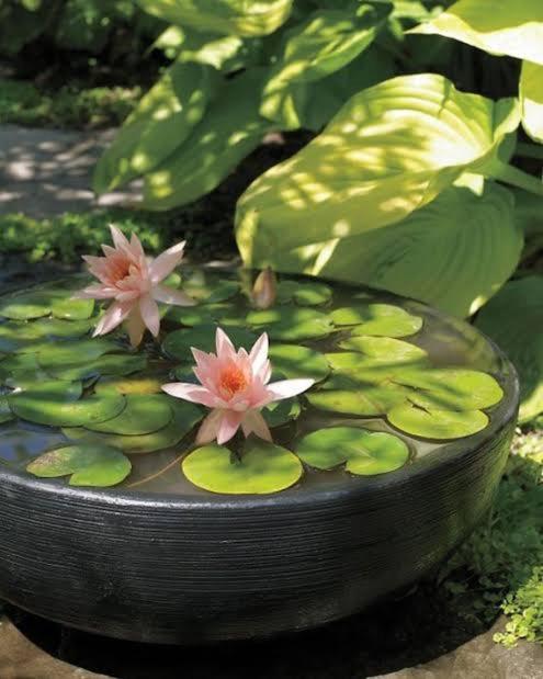 Alojamento de Acomodação e Pequeno-almoço Jardim De Cabo Branco João Pessoa