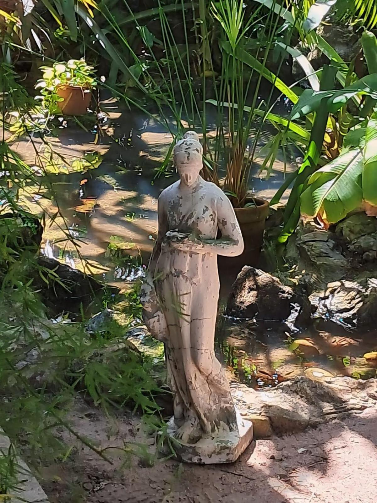 Jardim De Cabo Branco *